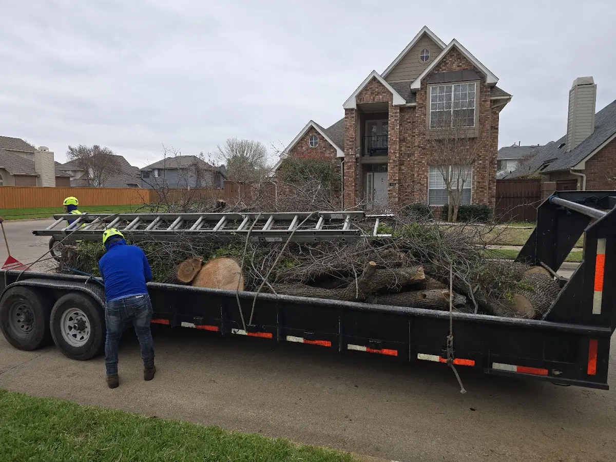 Expert Tree Fertilization with proper safety equipment in Pedro Bay